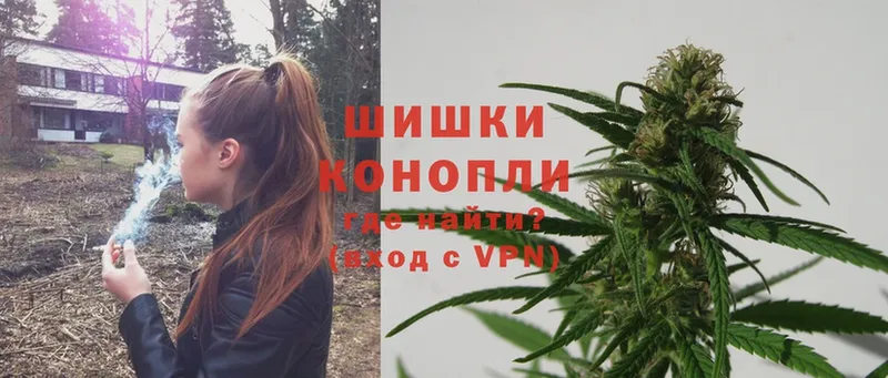 цена   Вязьма  Конопля White Widow 